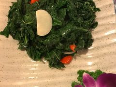 -紫滇源云南生态菜(丹凤街店)