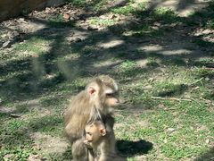 -哈尔滨北方森林动物园