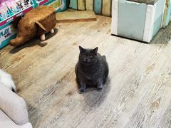 -小时光咖啡馆(开森度假森林店)