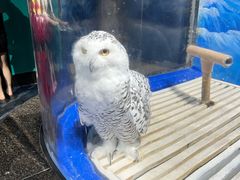 -成都浩海立方海洋公园