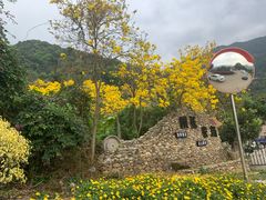 -广州市石门国家森林公园