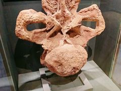 -大连自然博物馆·地球展厅