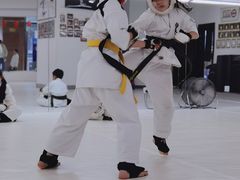 -极真空手道修远道场