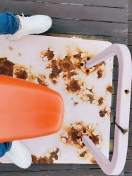 -小蜜蜂农场(凯德七宝购物广场店)