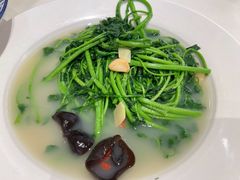 -金苑喜宴