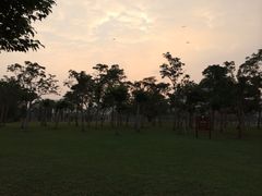 iphone_upload_pic-万绿园