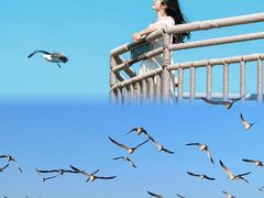 -威海华夏城景区