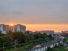 -神仙树公园