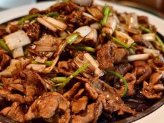 -秀儿四九城·新京菜(亚运村鸟巢店)