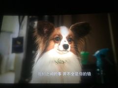 -博纳国际影城(铜锣湾激光巨幕杜比店)