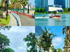 -金沙湖公园