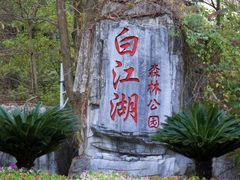 -广州白江湖森林公园