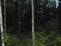 -峡谷浮石林景区