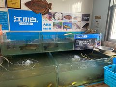 水产区-大鹅岛灶台鱼·铁锅炖(水库路店)