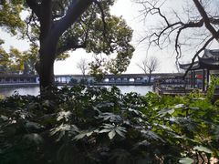-无锡蠡湖国家湿地公园-蠡园