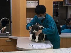-联合动物医院(光谷诊疗中心)