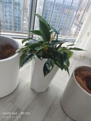 -HEYAN荷妍专业脱毛连锁机构
