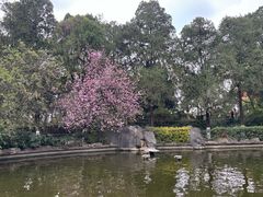 -昆明动物园