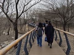 -白水寺森林公园