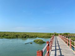 -北海金海湾红树林生态旅游区