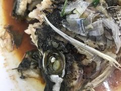 -华翔农庄(沙埔店)