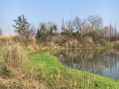 -桤木河湿地公园