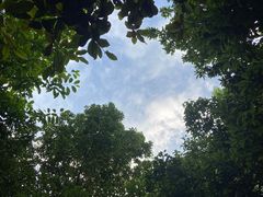 -腾冲洞山温泉村