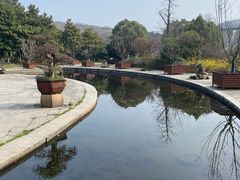 -白马涧龙池景区