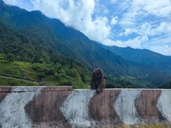 -黑竹沟新场牛肉火锅