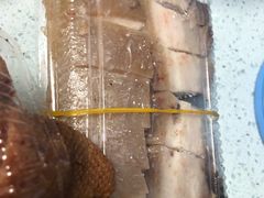 五香酱肉-陆稿荐观前街店