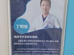 -北京观赏动物医院·24小时大型综合·猫专科·异宠专科