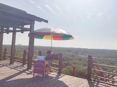 -北海金海湾红树林生态旅游区