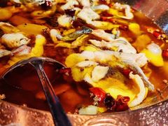 -雲蜀龙阁·金牌水煮鱼(方庄店)