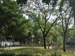 -晓港公园