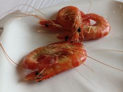 -骏莱海鲜鱼港(五角场店)