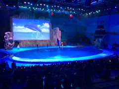 -华夏文旅海洋公园