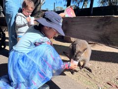 -费瑟代尔野生动物园