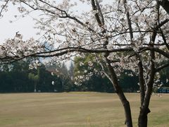 -黄兴公园