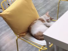 -五进制 Coffee Shop