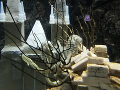 -太平洋海底世界