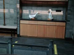 -四季民福烤鸭店(前门店)