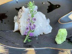 -银座岩