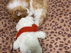 -半天妖烤鱼(方庄店)