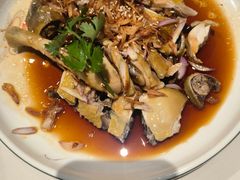 -石头咕(葵蓬店)