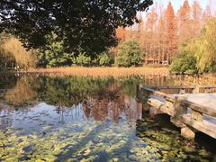 -杭州西湖风景名胜区-北街寻梦