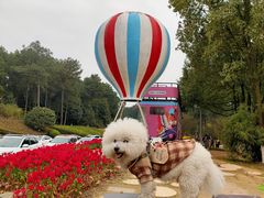 -铁山坪森林公园