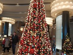 -新天世纪中餐厅