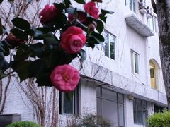 -金牛山大酒店(南北湖风景区店)