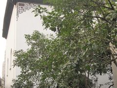 -凤凰寺