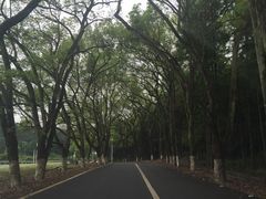 -老娘舅(西湖文化广场店)